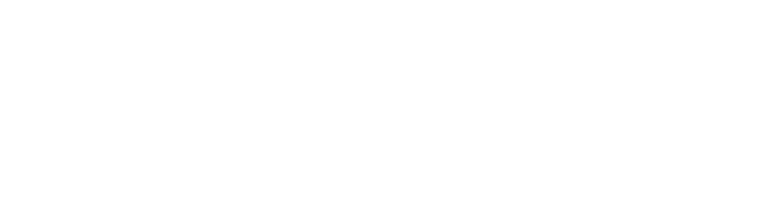 Liva Boutique logo